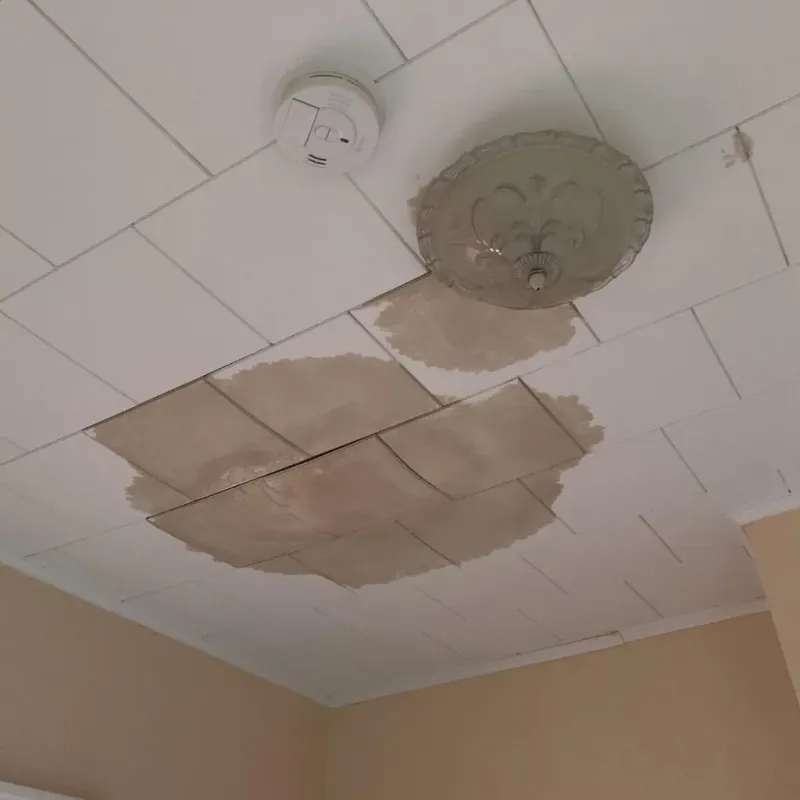 Ceiling Water Damage Repair in West Mayfield, PA
