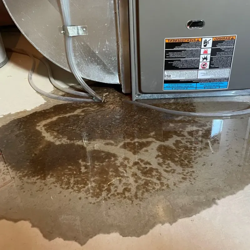 Pipe Burst and Leak Restoration in West Mayfield, PA