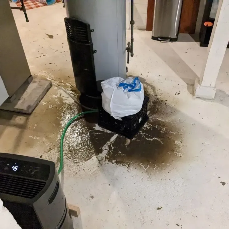 Sewage Backup Cleanup Service in West Mayfield, PA
